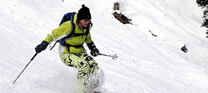 Our Favourites - Collection