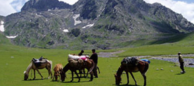 Our Favourites - Collection